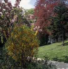 Butte du Chapeau Rouge garden in Paris