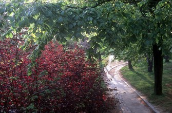 Georges Brassens garden in Paris