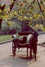 Parc Georges Brassens à Paris
Sculpture de Lalanne