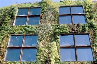 The 'green wall' of the Quai Branly museum