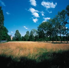 Parc du château de Marchais (Aisne)
