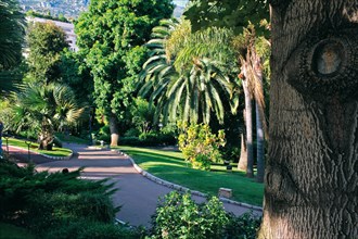 Monaco, jardin de la Petite Afrique, appartenant à la famille Grimaldi