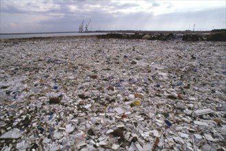 A garbage dump near La Rochelle, France