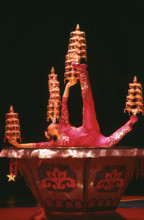 The Cirque du Soleil