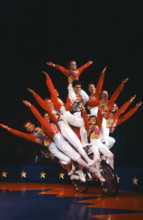 The Cirque du Soleil