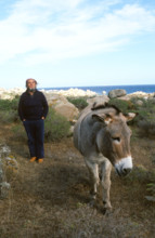 Marco Ferreri, 1989