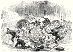 The Civil War In America: The Stampede From Bull Run, 17 August, 1861