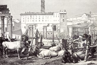 Rome Italy 1875, the Roman Forum
