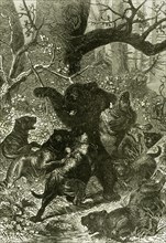 Bear Hunt, 1891, Russia