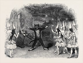 SCENE FROM THE BURLESQUE OF "WHITTINGTON AND HIS CAT," AT THE LYCEUM THEATRE.