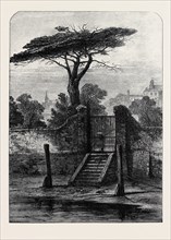 RIVER GATE, BOTANIC GARDEN, CHELSEA, 1873