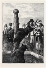 RECEIVING VISITORS ON EASTER MONDAY AT THE ZOOLOGICAL SOCIETY'S GARDENS, LONDON, 1873