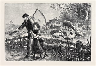 THE FOSTER LAMB, 1873