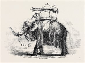 ELEPHANT WITH STATE HOWDAH, AT BARODA