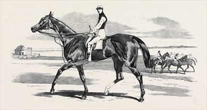"ODD TRICK," THE WINNER OF THE CAMBRIDGESHIRE STAKES AT NEWMARKET, 1857