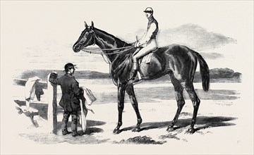 THE CELEBRATED RACE HORSE "FISHERMAN"
