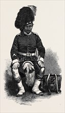 PRIVATE HUMPHREY WILSON, OF THE 78TH HIGHLANDERS