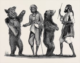 DANCING BEARS IN INDIA, FROM A DRAWING BY W. CARPENTER, JUN.