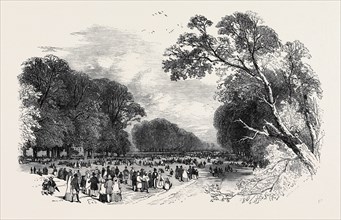 KENSINGTON GARDENS, THE BROAD WALK