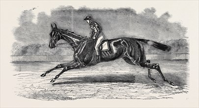 THE WINNER OF THE NEWMARKET JULY STAKES, LORD JOHN SCOTT'S B.C. "BROTHER TO ELTHIRON''