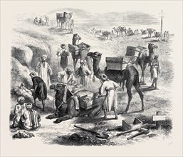 THE ISTHMUS OF SUEZ MARITIME CANAL: WORKMEN LOADING DROMEDARIES, 1869