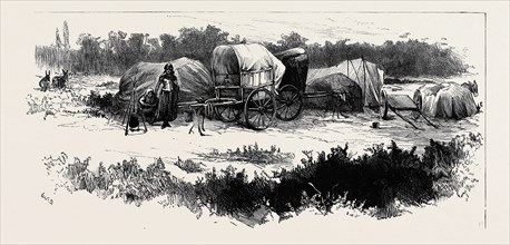 GIPSY LIFE ROUND LONDON: ENCAMPMENT AT MITCHAM COMMON, 1880