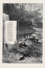 WAGTAILS, A LOQUACIOUS BAND, HOLD HIGH JINKS MID GRASS AND SAND, 1880