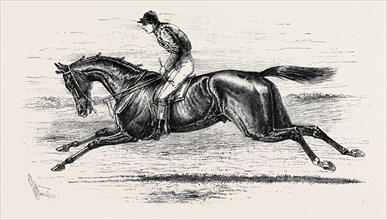 BEND OR, THE WINNER OF THE DERBY, 1880