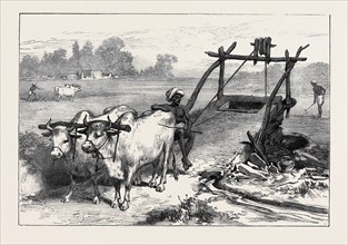 THE FAMINE IN BENGAL: INDIAN MODE OF IRRIGATION, 1874