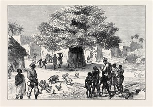 THE ASHANTEE WAR: FETISH TREE IN A VILLAGE NEAR CAPE COAST CASTLE, 1874
