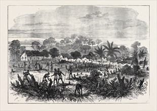 THE ASHANTEE WAR: THE BATTLE-FIELD OF ABRAKRAMPA, 1874