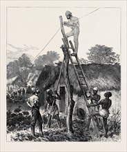 THE ASHANTEE WAR: FIXING TELEGRAPH WIRES ON THE ROAD TO THE PRAH, 1874