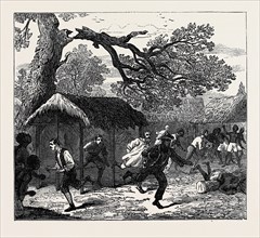THE ASHANTEE WAR: FALL OF A TREE IN CAMP, 1874