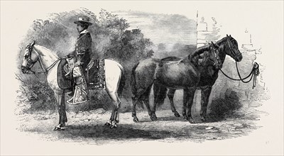 MEXICAN PONIES PRESENTED TO THE PRINCE OF WALES.