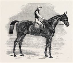 "WEATHERGAGE," WINNER OF THE CESAREWITCH STAKES, AT NEWMARKET, 1852