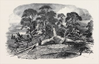 OAK STRUCK BY LIGHTNING IN WESTWOOD PARK, DROITWICH, 1852