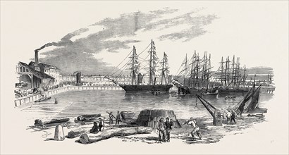 ARRIVAL OF THE "JOHN BOWES" SCREW STEAMER IN THE COLLIER DOCK OF THE EAST AND WEST INDIA DOCK