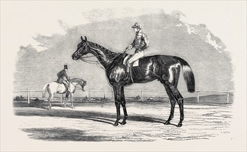 "KINGSTON," THE WINNER OF THE GOODWOOD CUP, 1852