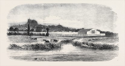 THE ROYAL AGRICULTURAL SOCIETY OF ENGLAND, MEETING AT LEWES: THE CATTLE SHOW, FROM THE RIVER, 1852