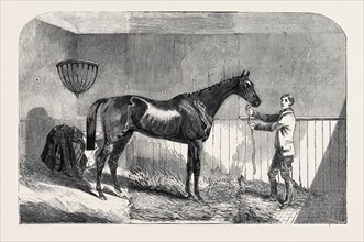 LORD JOHN SCOTT'S "THE REIVER," WINNER OF "THE JULY STAKES," AT NEWMARKET, 1852