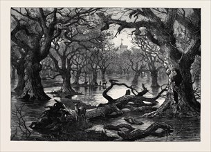 THE THAMES FLOODS: SCENE IN THE HOME PARK, WINDSOR, 1879