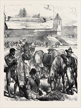 THE ZULU WAR: FORT EKOWE, 1879