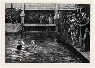 THE SIX-DAYS' SWIMMING MATCH IN LAMBETH BATHS, 1879