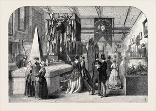 THE PARIS INTERNATIONAL EXHIBITION: THE NOVA SCOTIA SECTION, FRANCE, 1867