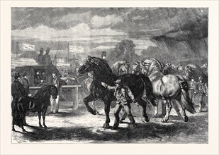 SUFFOLK CART HORSES AT THE EXHIBITION OF THE ROYAL AGRICULTURAL SOCIETY AT BURY ST. EDMUNDS, 1867