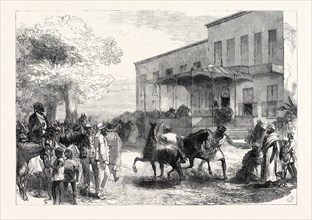 THE ABYSSINIAN EXPEDITION: TRANSPORT OFFICERS BUYING MULES OPPOSITE SHEPHEARD'S HOTEL, CAIRO,