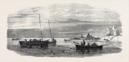 THE SHELLFISH SUPPLIES: CRAB FISHING OFF FIFE COAST, 1862