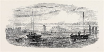 THE SHELLFISH SUPPLIES: OYSTER-BOATS DREDGING OFF PRESTONPANS, 1862