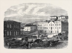 MORNING MARKET AT PORT ELIZABETH, 1866