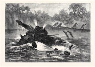 CANOE DESTROYED BY A HIPPOPOTAMUS ON THE RIVER ZAMBESI, SOUTH AFRICA, 1866